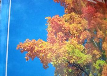 Ekologia z ochroną i kształtowaniem środowiska najtańsze