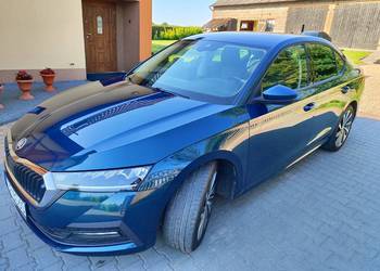 Skoda Octavia IV polski salon