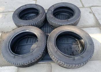 Opony zimowe Frigo 2