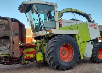 Sieczkarnia Class Jaguar 840 4x4 Heder do kukurydzy i trawy w cenie