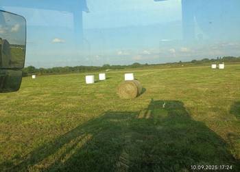 Sianokiszonka, 200 sztuk