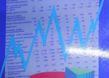 EKONOMICZNO - FINANSOWA ANALIZA PRZEDSIĘBIORSTW