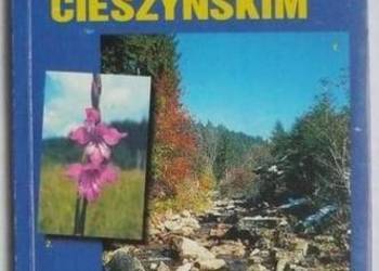 WITAMY W POWIECIE CIESZYŃSKIM