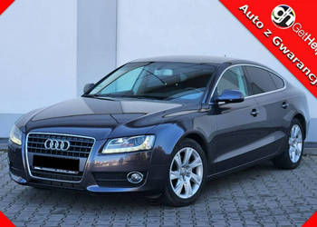 Audi A5 Nowy Rozrząd Ledy Navi Org.szyby 8T (2007-2016)