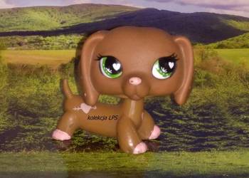LPS Littlest Pet Shop jamnik #556 walentynkowy oryginalny