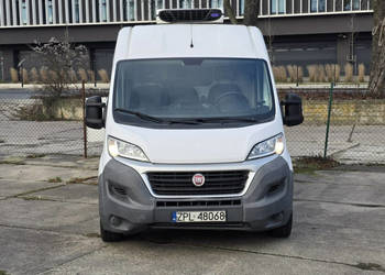 Fiat Ducato Chłodnia