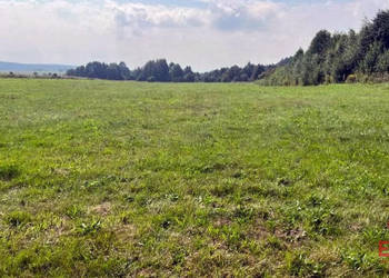 Działka Studzianki 2533m2