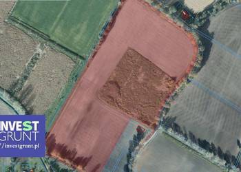 [10,41 ha] grunty rolne przetarg na dzierżawę