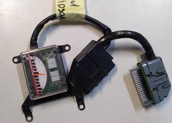 Fuel Pak Moduł Harley Davidson