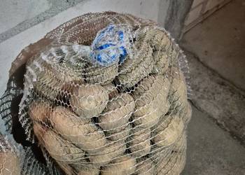 ziemniaki woreczek 15kg 12zl