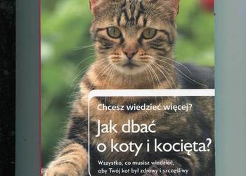 Jak dbać o koty i kocięta ?