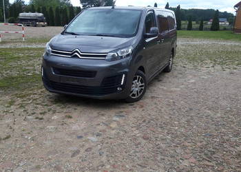 Citroen jumpy brygadówka 6 osobowy proace expert