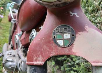 Ryś Żak Komar Simson PUCH