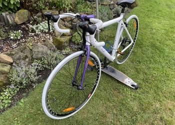 Rower szosowy VIKING ELYSEE VN 183