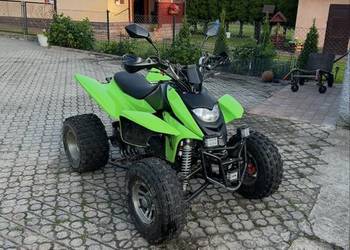 quad shinreay 250