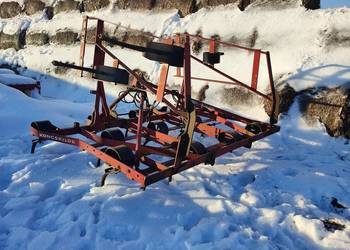 Gruber ścierniskowy konskilde