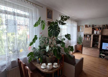 2 pokoje | balkon | piwnica | Kokoszki
