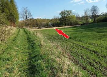 30ar Kościejów gm. Racławice wydzierżawię