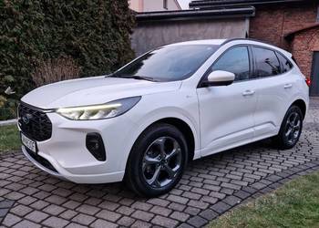 Ford Escape (Kuga) 2.0 benzyna 252 KM, automat, ST-Line