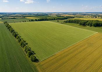Grunt rolny 3,55 ha – Kolnica, gmina Augustów