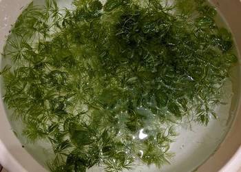 Duża porcja rogatka że ślimakami