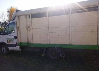 Transport bydła i rzeczy
