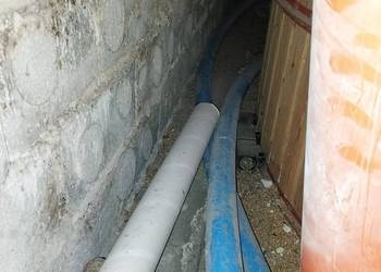 Zmijka spiralna do zboża. Paszociąg