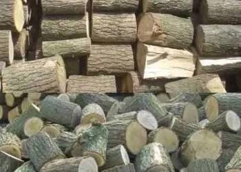 Drewno liściaste kominkowe opałowe mieszane 1kg 4L kawałki wysyłka suche