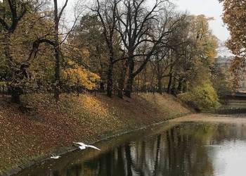 2pok, 58met, Podwale PIWNICA (Wrocław)