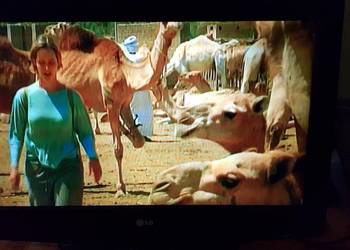 Telewizor LG LCD z HDMI USB -Możliwy Transport Telewizor LG LCD z HDMI USB -Możliwy Transport