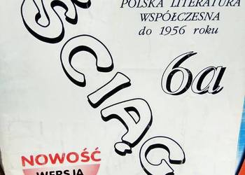 Polska literatura współczesna antykwariat szkolny okazy
