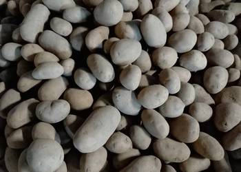 Sprzedam ziemniaki Queen Anna OPAKOWANIE BIG BAG