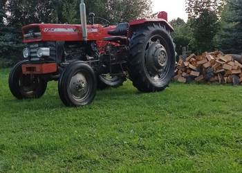 Massey Ferguson 158 4p,zarejestrowany sprawnym