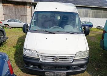 Fiat Ducato 244L 2,8 94 kW 2002 r. dawca części Fiat Ducato 244L 2,8 94 kW 2002 r. dawca części