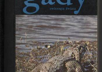 Gady  Zwierzęta świata Gady  Zwierzęta świata
