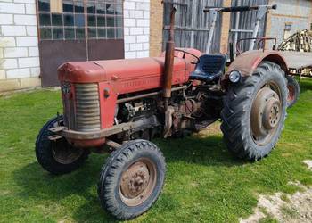 Massei ferguson 65