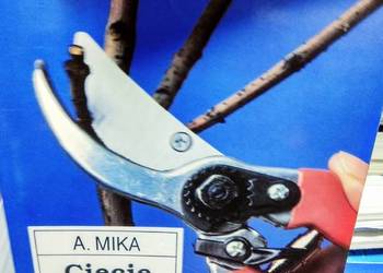 Cięcie drzew Mika szkółkarstwo