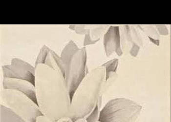 Dekor Imeria white bianco Inserto 25 x 35, Cersanit, płytki, kafelki, flizy