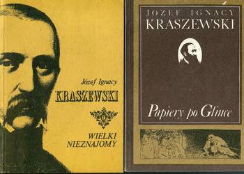 Papiery po Glince + Wielki nieznajomy- Józef Ignacy Kraszewski