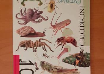 Na Ścieżkach Wiedzy - Encyklopedia 100 Bezkręgowców