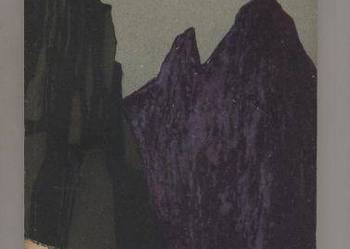 Wędrówki alpejskie - Żuławski