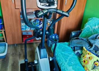 Sprzeda orbitrek Hammer pro line
