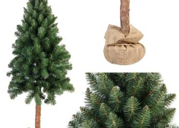 Nowa Oryginalna Choinka KRIS na pniu 150 cm –Polski Producent GOLIAT