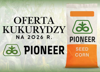 Nasiona kukurydzy Pioneer P8834 P89699 P8329 P8904 P9241 P7737 P82000 inne