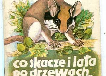 Co skacze i lata po drzewach i kwiatach ?