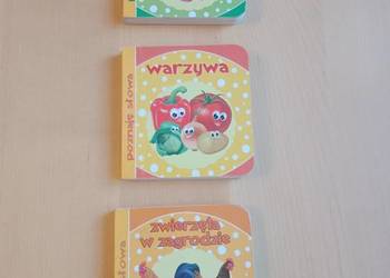 Książeczki Poznaje słowa zestaw