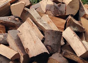 Drewno kominkowe Niska cena