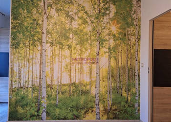 Mieszkanie 34 metry 1 pokój Rybnik