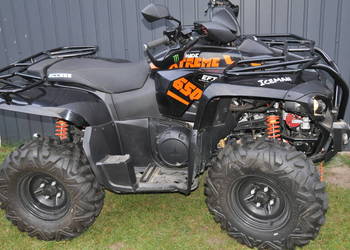 Access 650 22ROK, kymco, polaris, dinli, tgb,Linhai , Arcti  Cat
