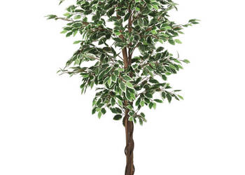 Sztuczny fikus 378 listków 80 cm zielony WM-359025